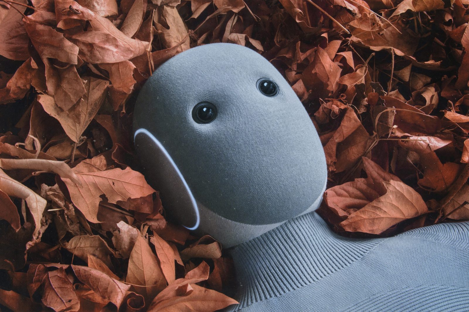 1X NEO humanoid robot