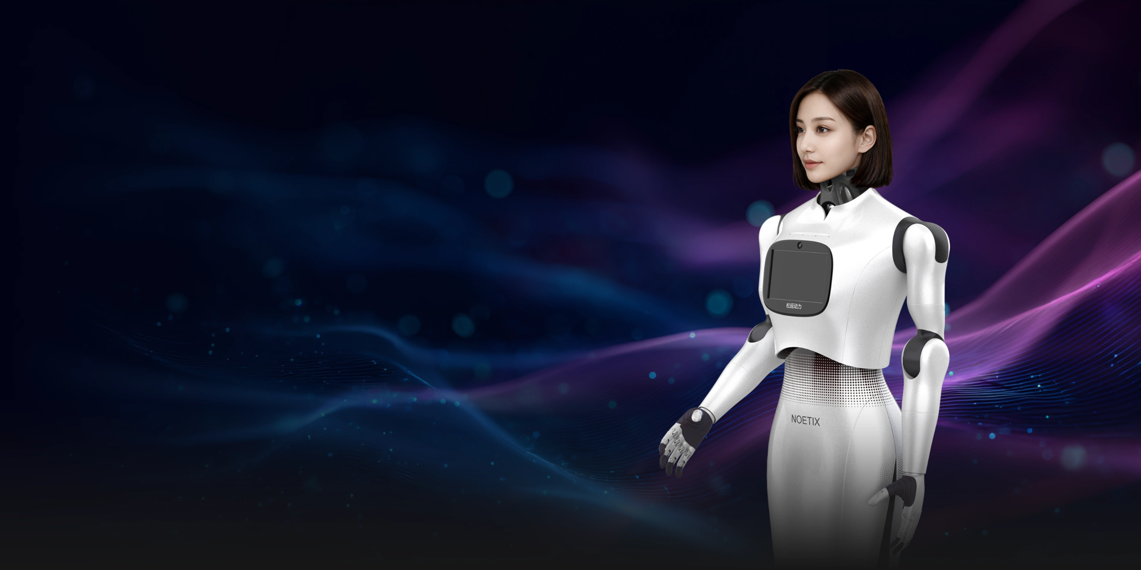 Noetix Robotics (Songyan Dynamics) Hobbs W1