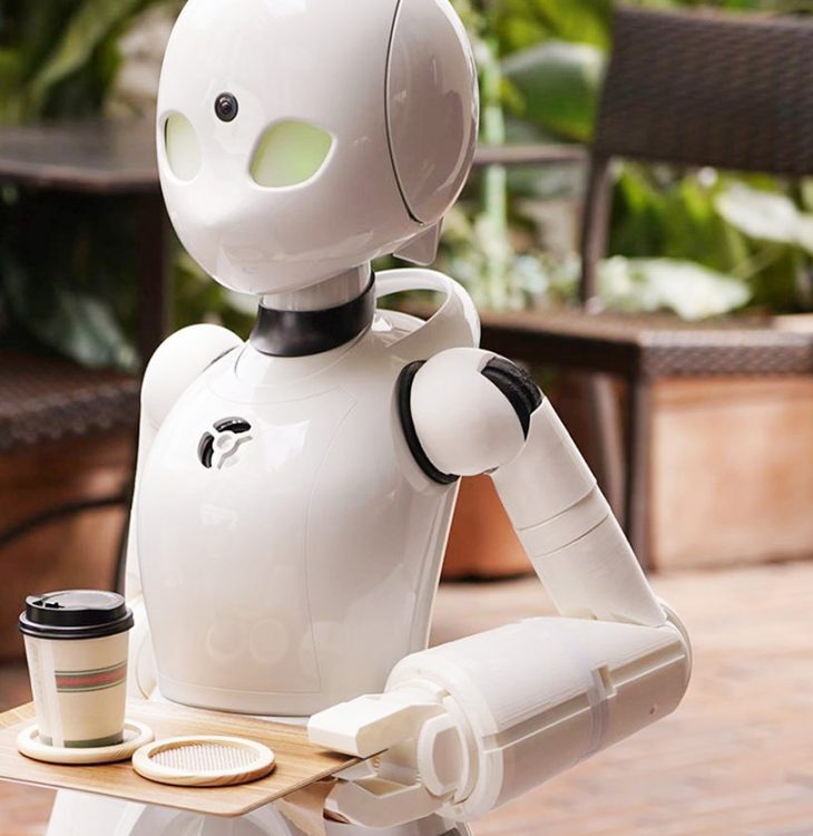OryLab humanoid robot