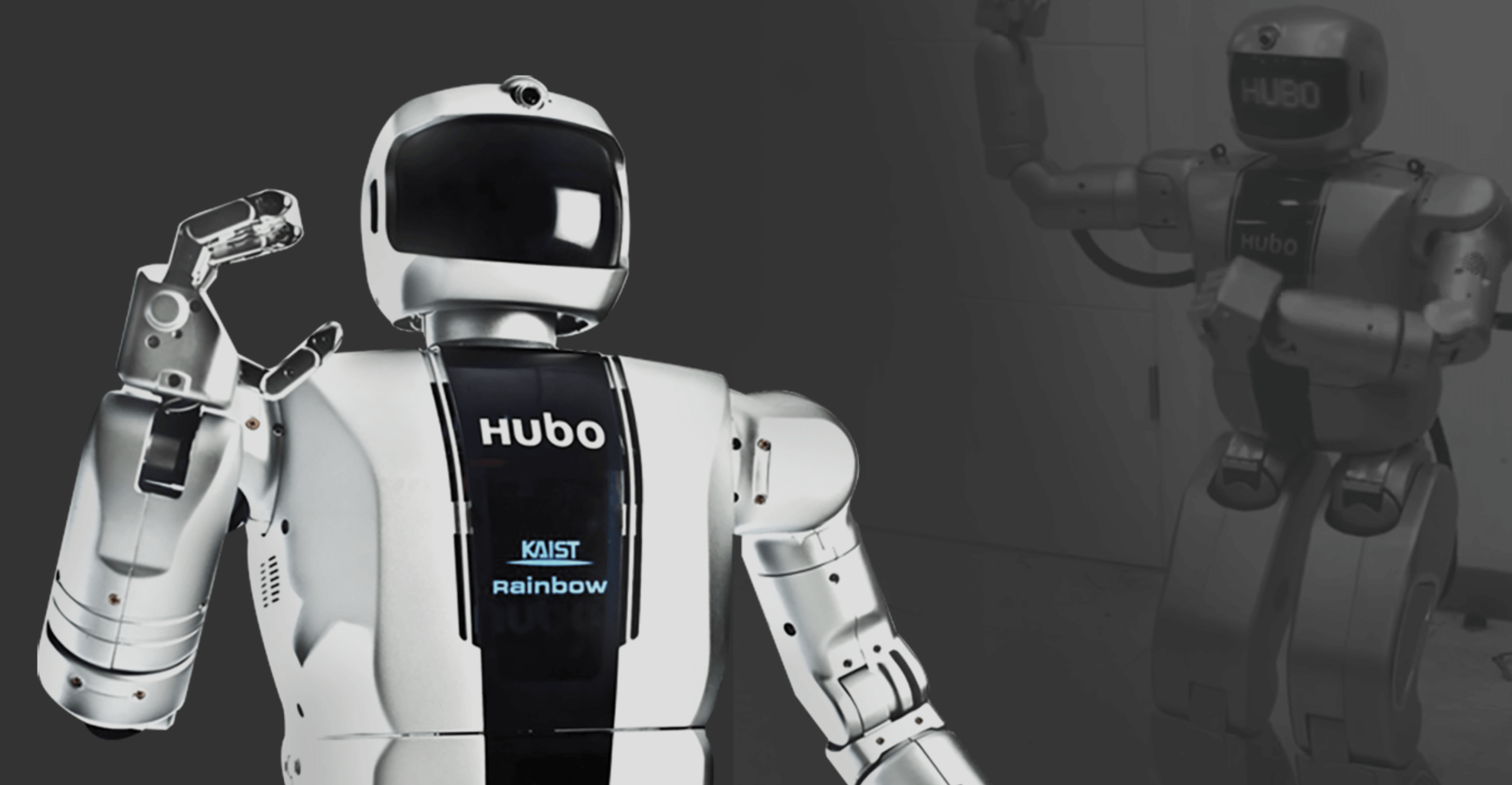 Rainbow Robotics humanoid robot
