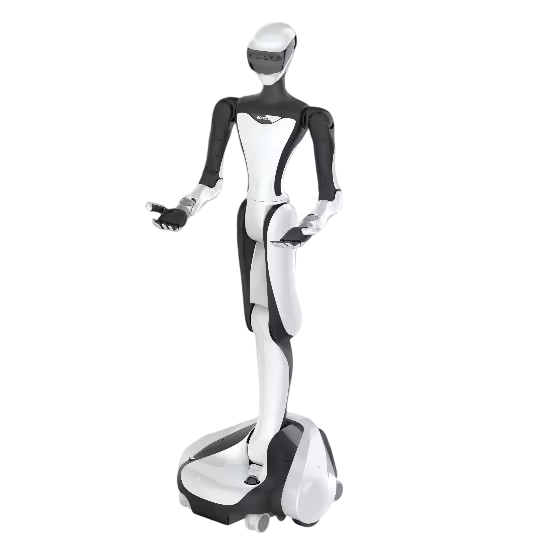 RobotEra Q5